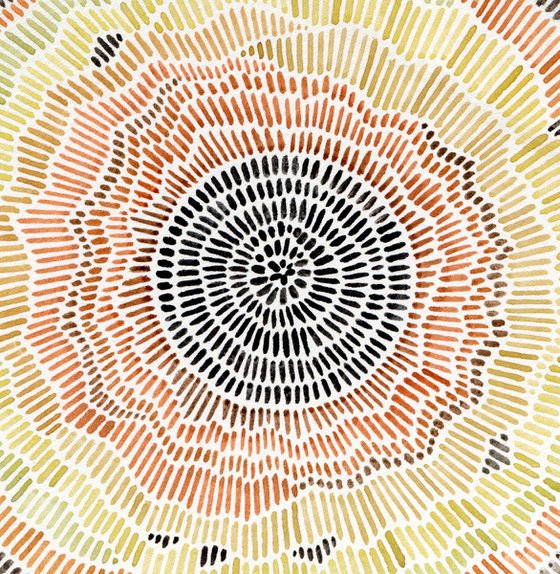 abstract eye pupil