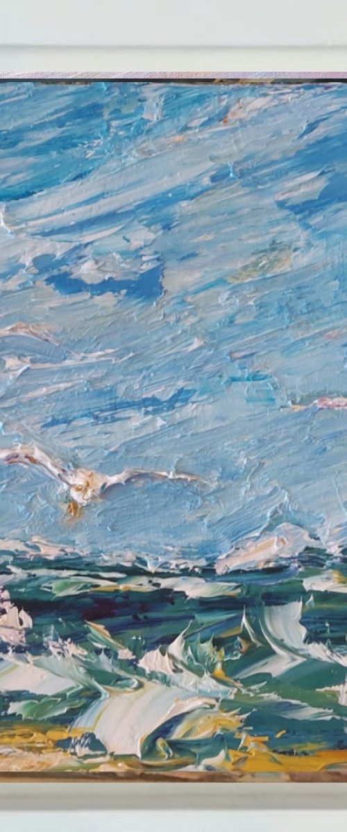 Seagull's Swoops by Niki Purcell