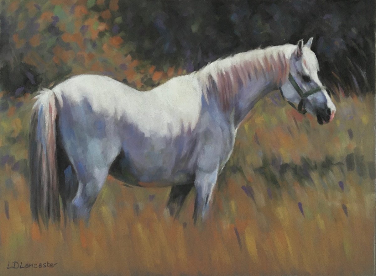 Summer Meadow - White Pony by Lorna Lancaster ASEA