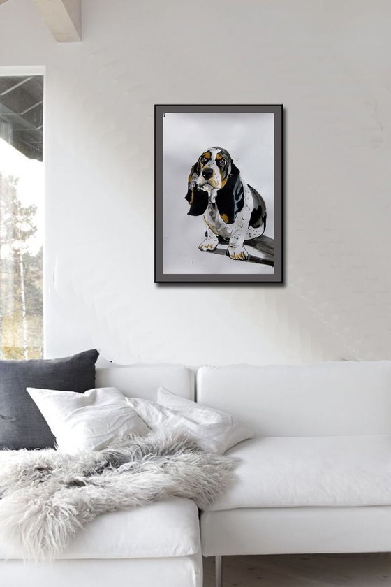 Basset hound