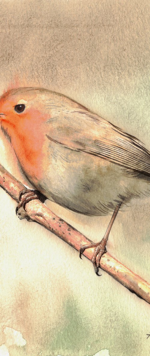 Red Robin - BIRD CVIII by REME Jr.