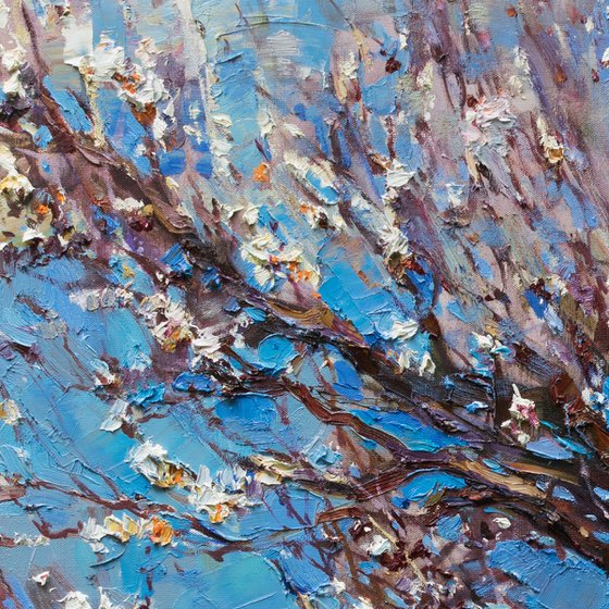 Flowering apricot tree - Original oil painting