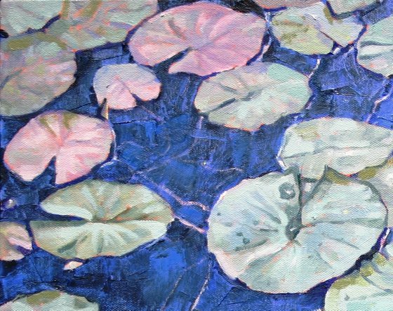 Tranquil Waterlilies