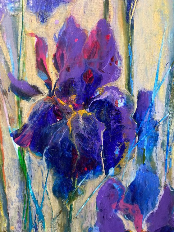 Blue irises