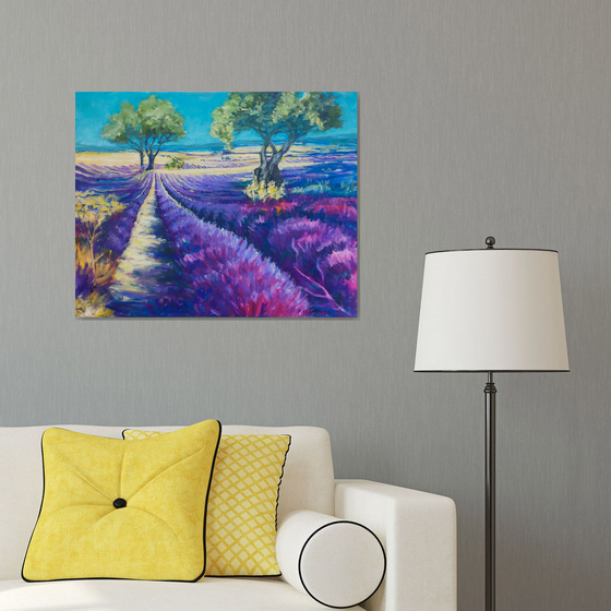Lavender fields