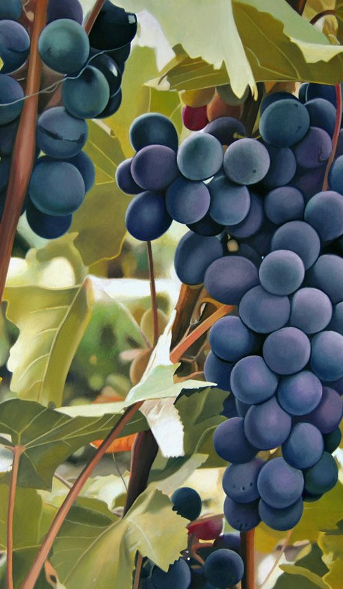 Grapes by Valeri Tsvetkov