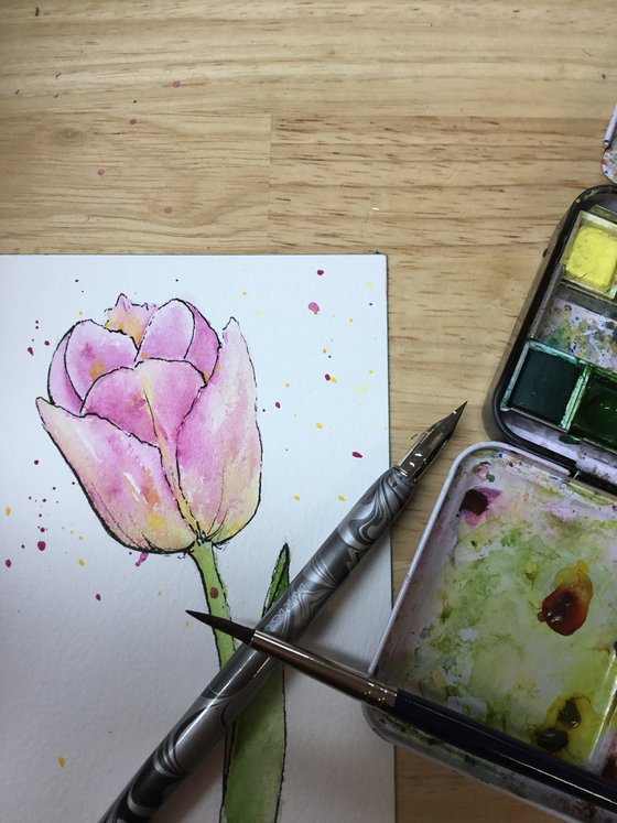 Pink tulip