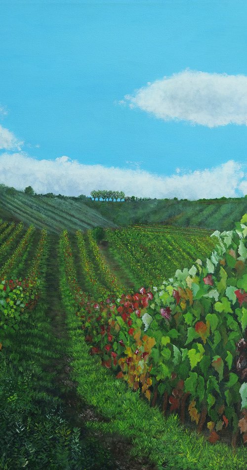 Vineyard in Tuscany by Steven Fleit