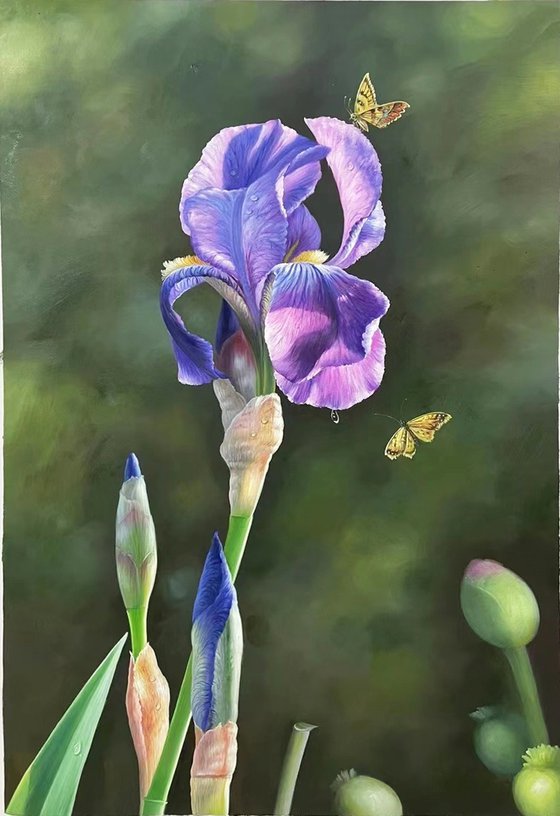 Realism oil painting:flowers c143