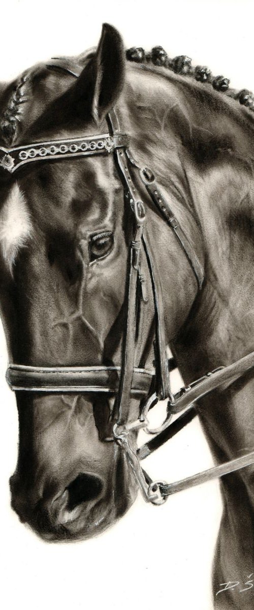 Horse by Danguole Serstinskaja