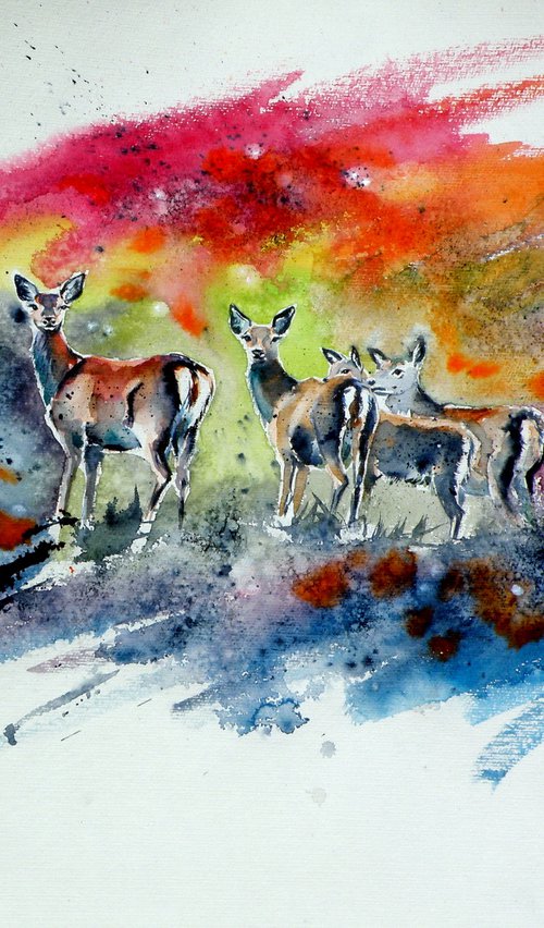 Deer in the field by Kovács Anna Brigitta