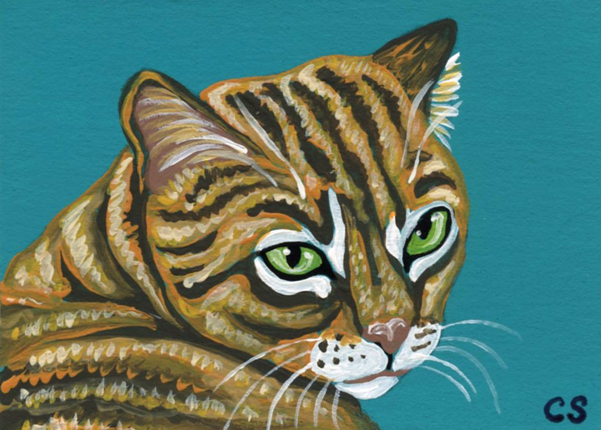 ACEO ATC Original Miniature Painting Ginger Tabby Cat Pet Art-Carla Smale by carla smale