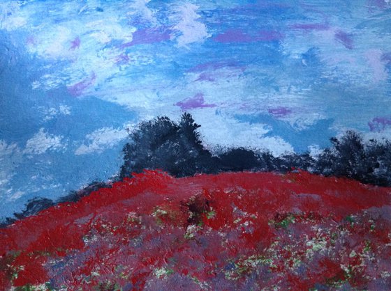 Poppy Field