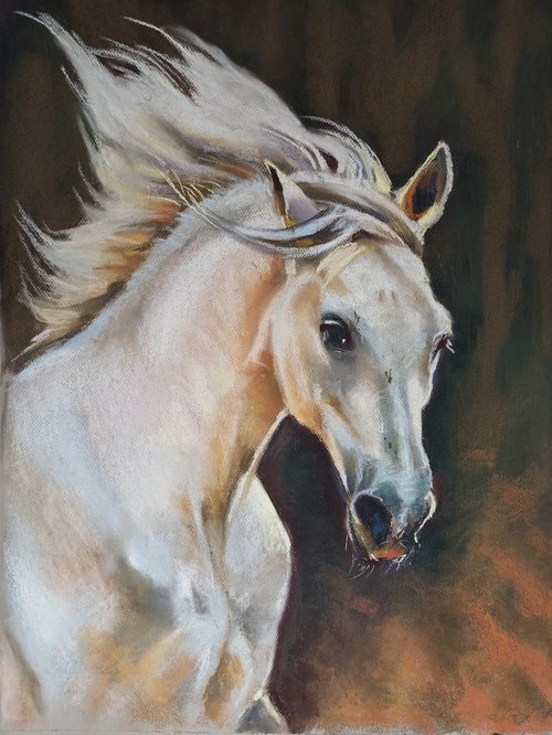 Grey horse by Magdalena Palega