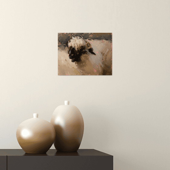 Valais Blacknose Sheep Study