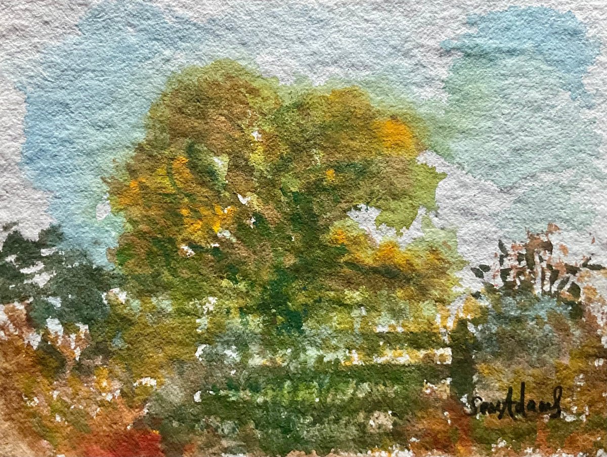 Impressionistic Landscape Watercolour By Samantha Adams, 5 X 4", October Oak, Original Artwork