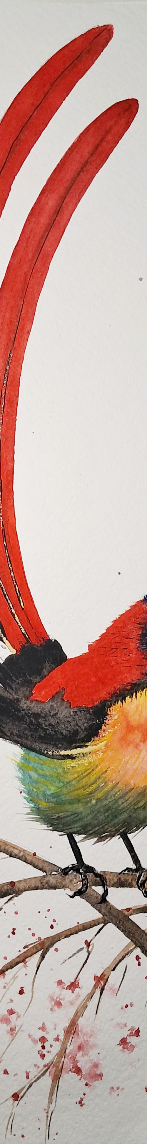 Red bird by Yuliia Sharapova