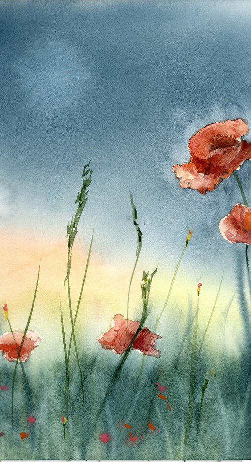 Poppies  #1 by Olga Tchefranov (Shefranov)