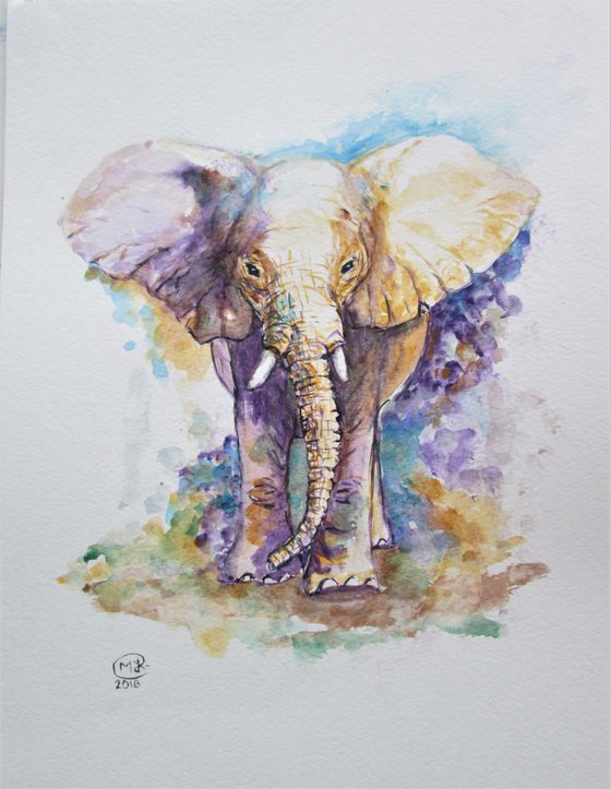 Elephant