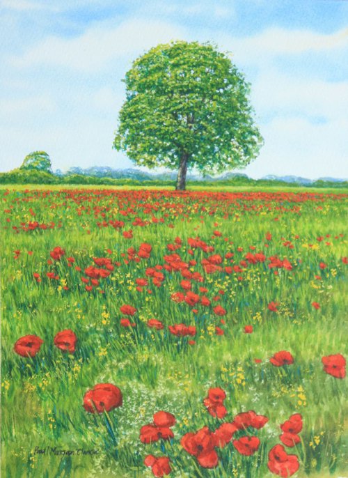 Poppy Field by Paul Morgan Clarke