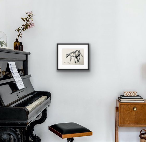 Charcoal: Sketch of Horse