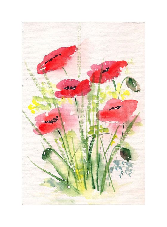 Five Red Poppies