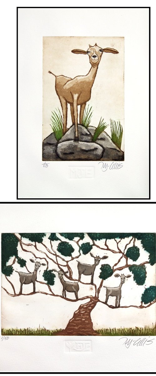 a set of Goat prints by Mariann Johansen-Ellis