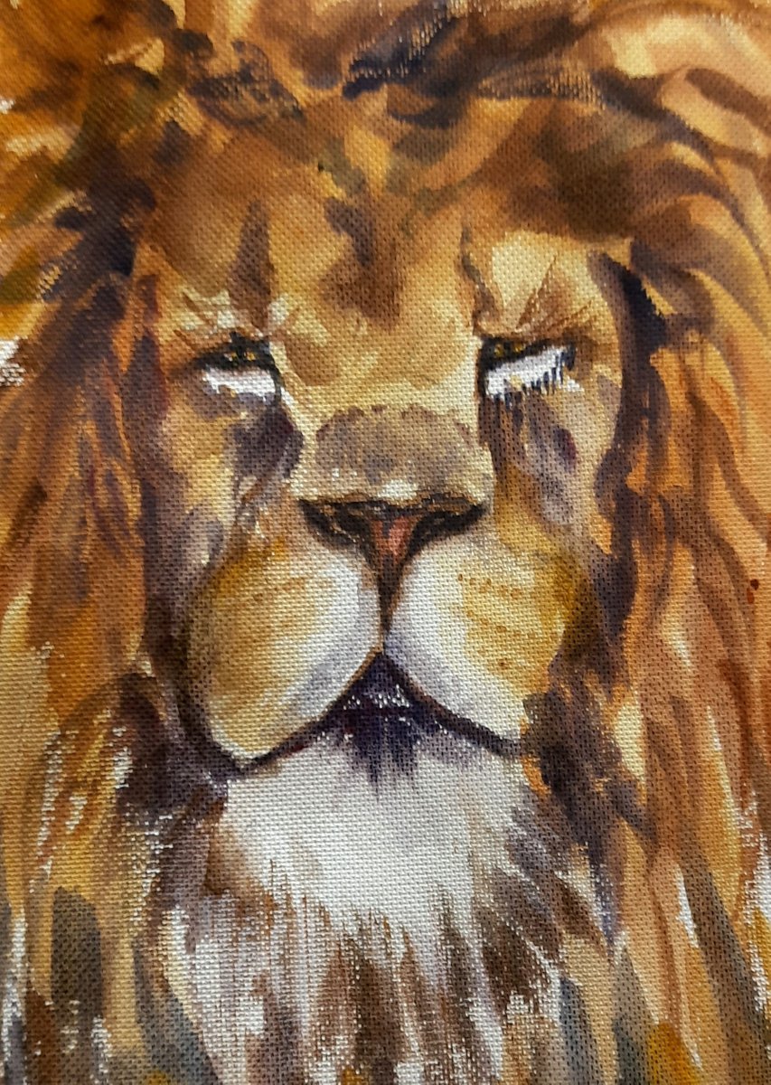 The Lion King 1 Watercolor Wild Cat, Colorful Wildlife Art 8.2x 11.25 by Asha Shenoy