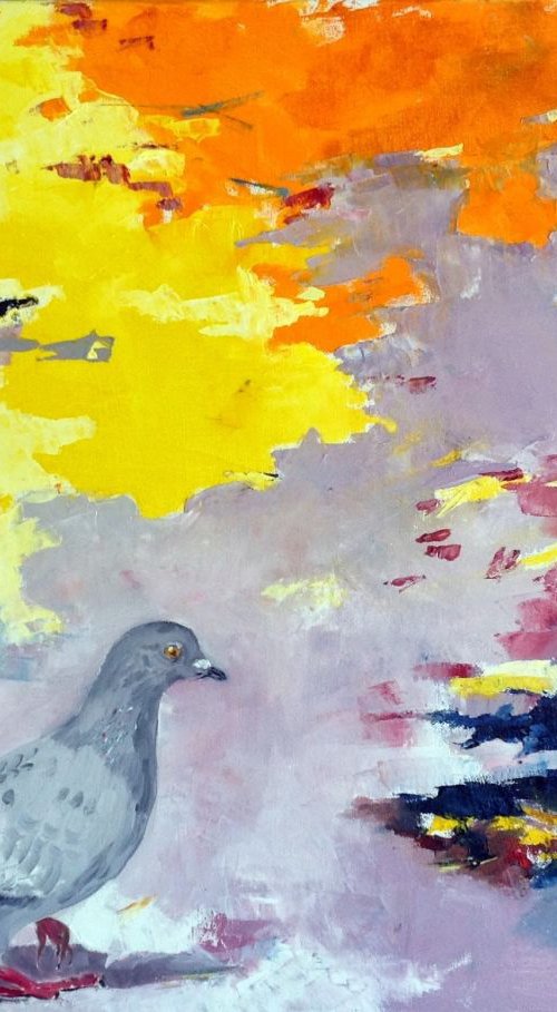 Pigeon by Chris Walker