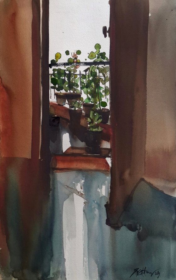 Balcony garden