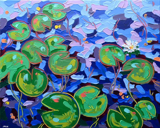 Tasman Lily Pond 29