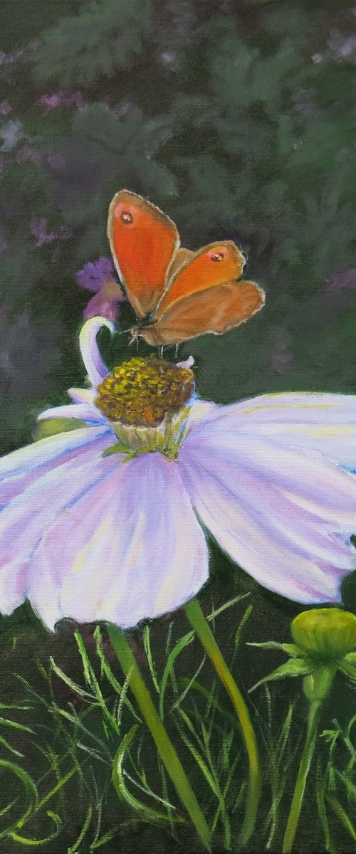 Cosmos and Butterfly by Maureen Greenwood
