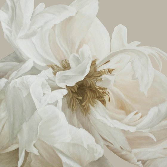 "Gray Silk Flowers 3"  White peony oil art