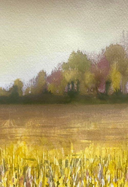 By the yellow field , Wiltshire by Samantha Adams