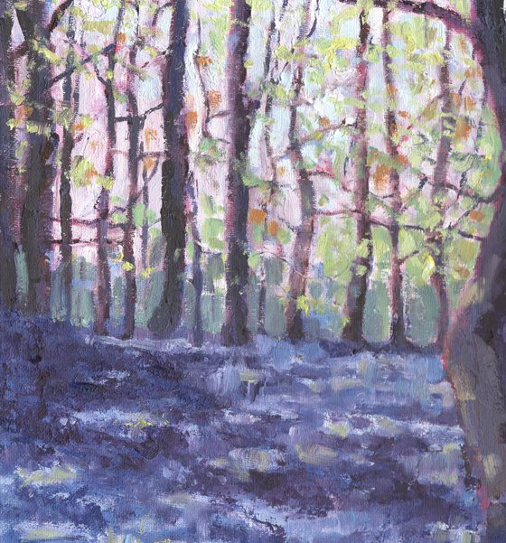 Abstract Bluebell Wood