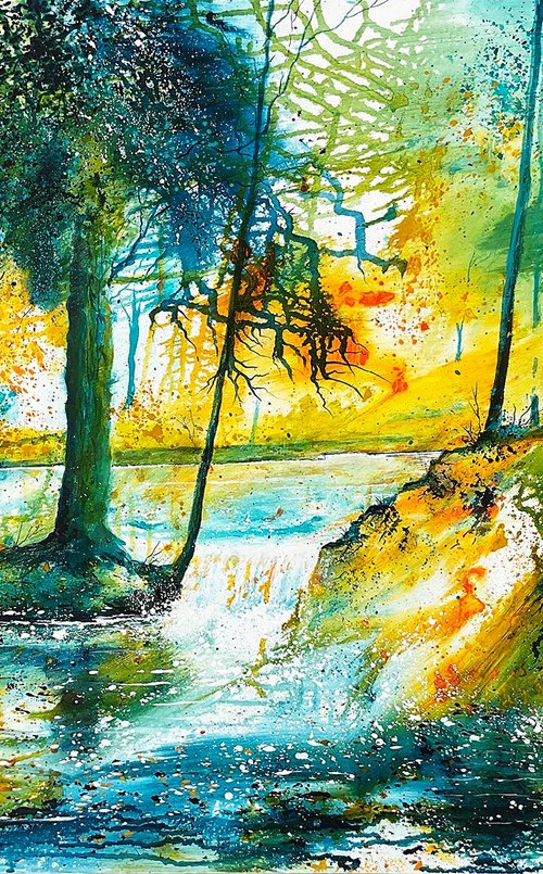 Woodland Wonder by Beverley Perry