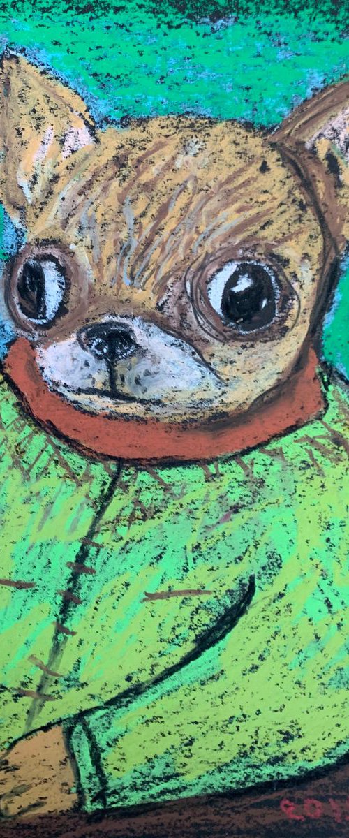 Fat Chihuahua by Pavel Kuragin