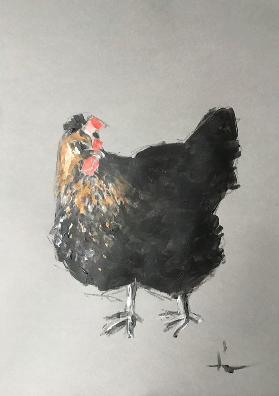 Chicken Study 6