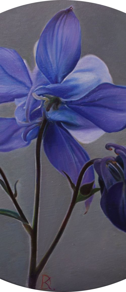 flower in a circle by Darya Klunnikova