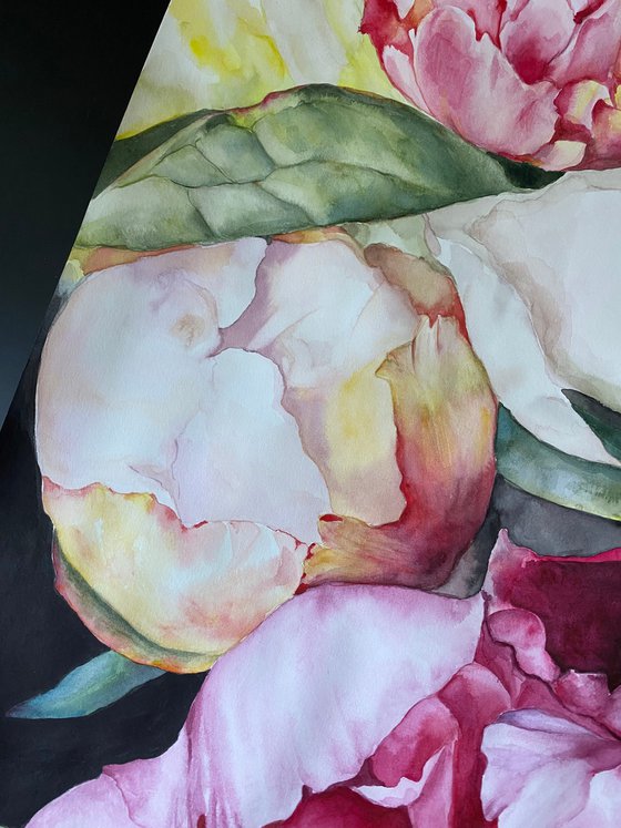 Peony Symphony