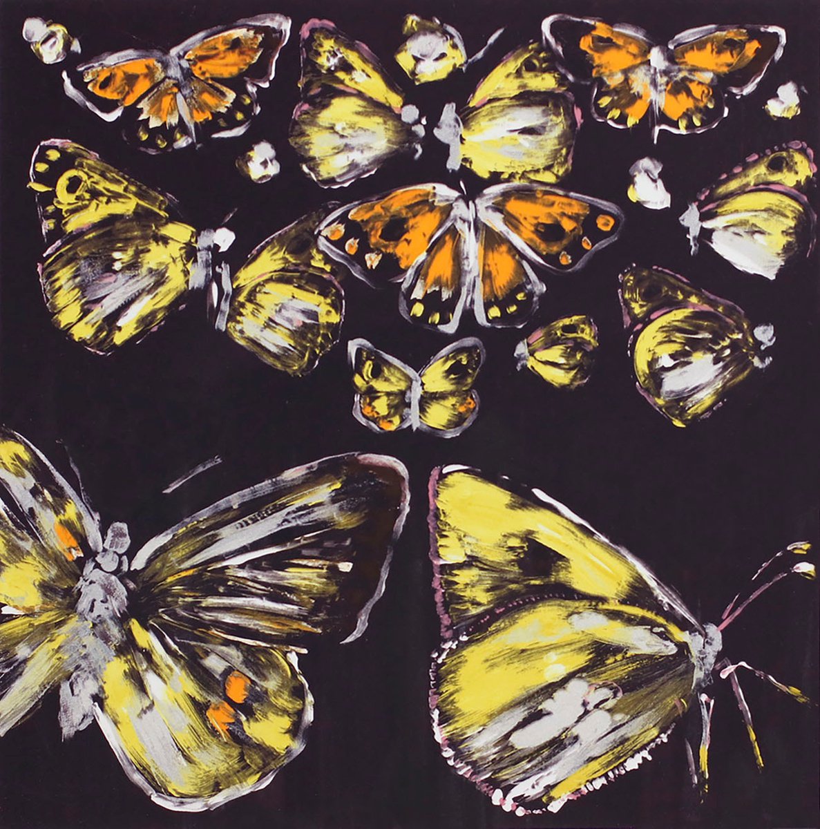 Clouded Yellows III by Helen Boden