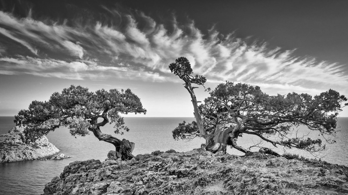 Photorealistic Photograph , Guardians Of The Cliff By Vlad Durniev, 31 X 18, Artwork For Sale On Artfinder
