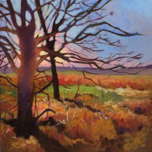 Savor the Sunset (20% will be donated to JDRF) by Sri Rao
