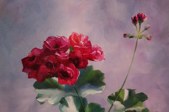 "Geraniums and snails"