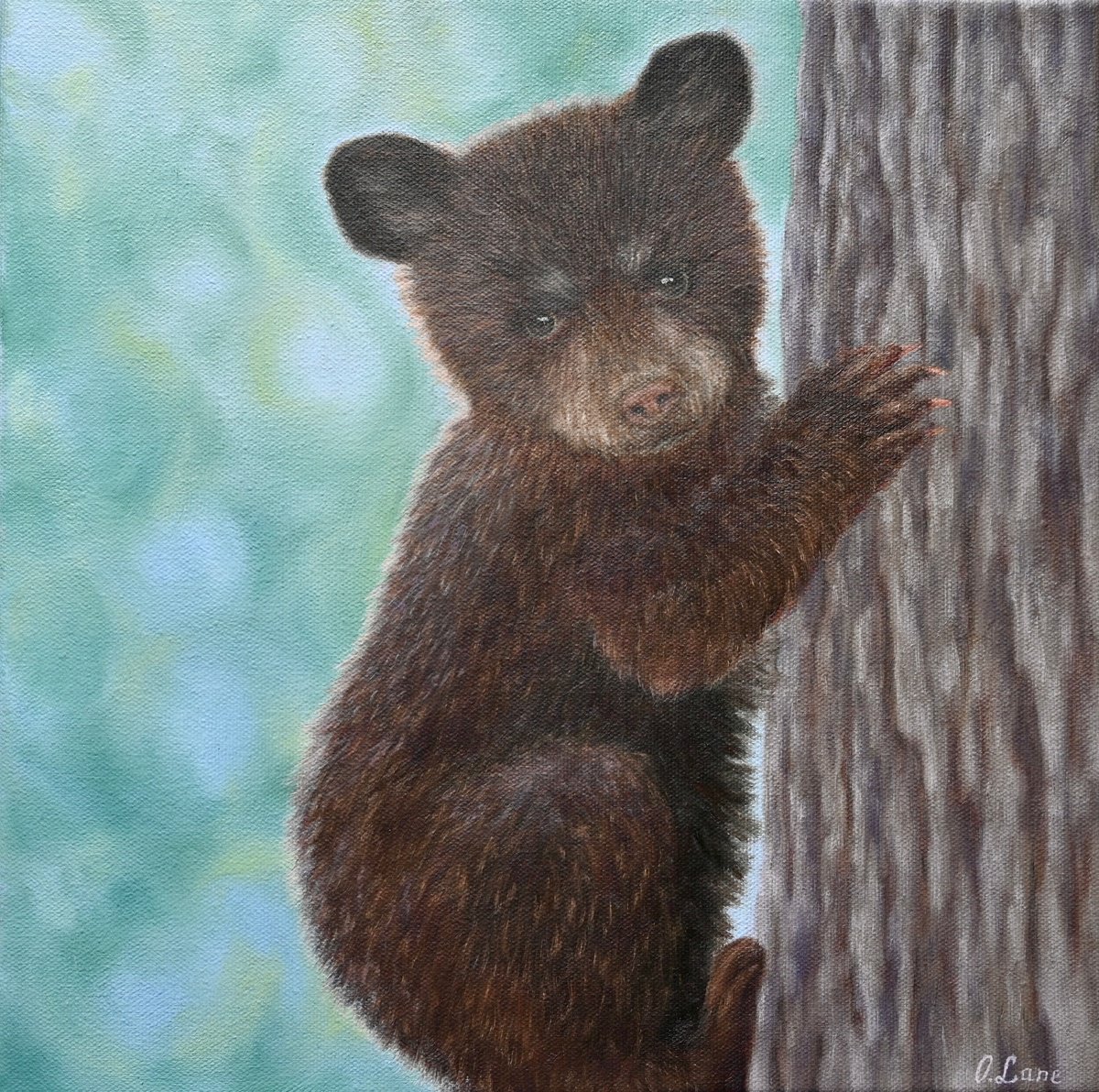 Photorealistic Animal Oil Painting By Olya Lane, 12 X 12", Bear Cub, Original Artwork