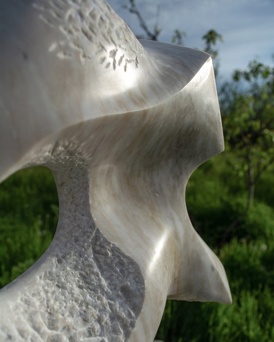 Stone and Light