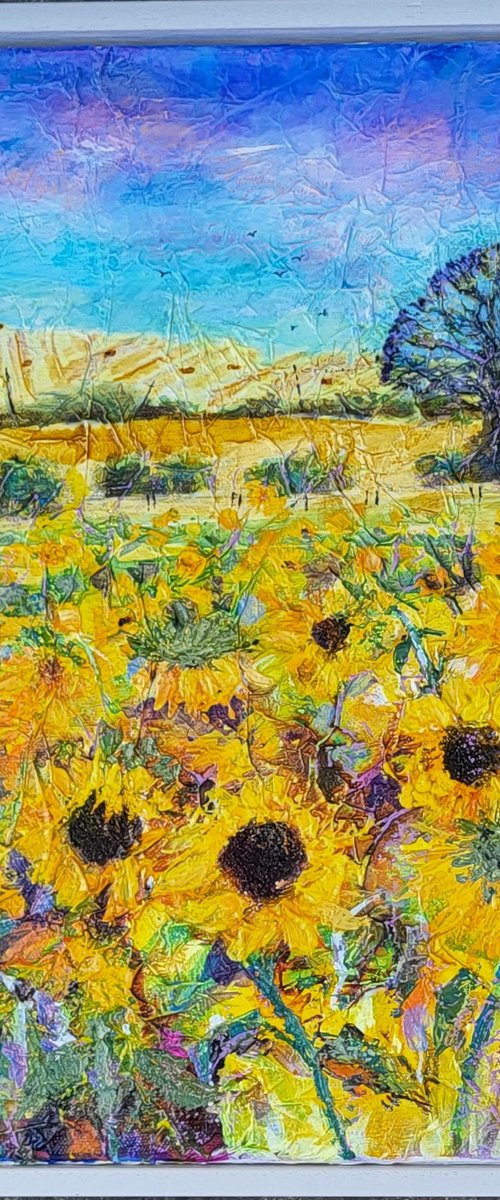 Sunflower Field by Michele Wallington