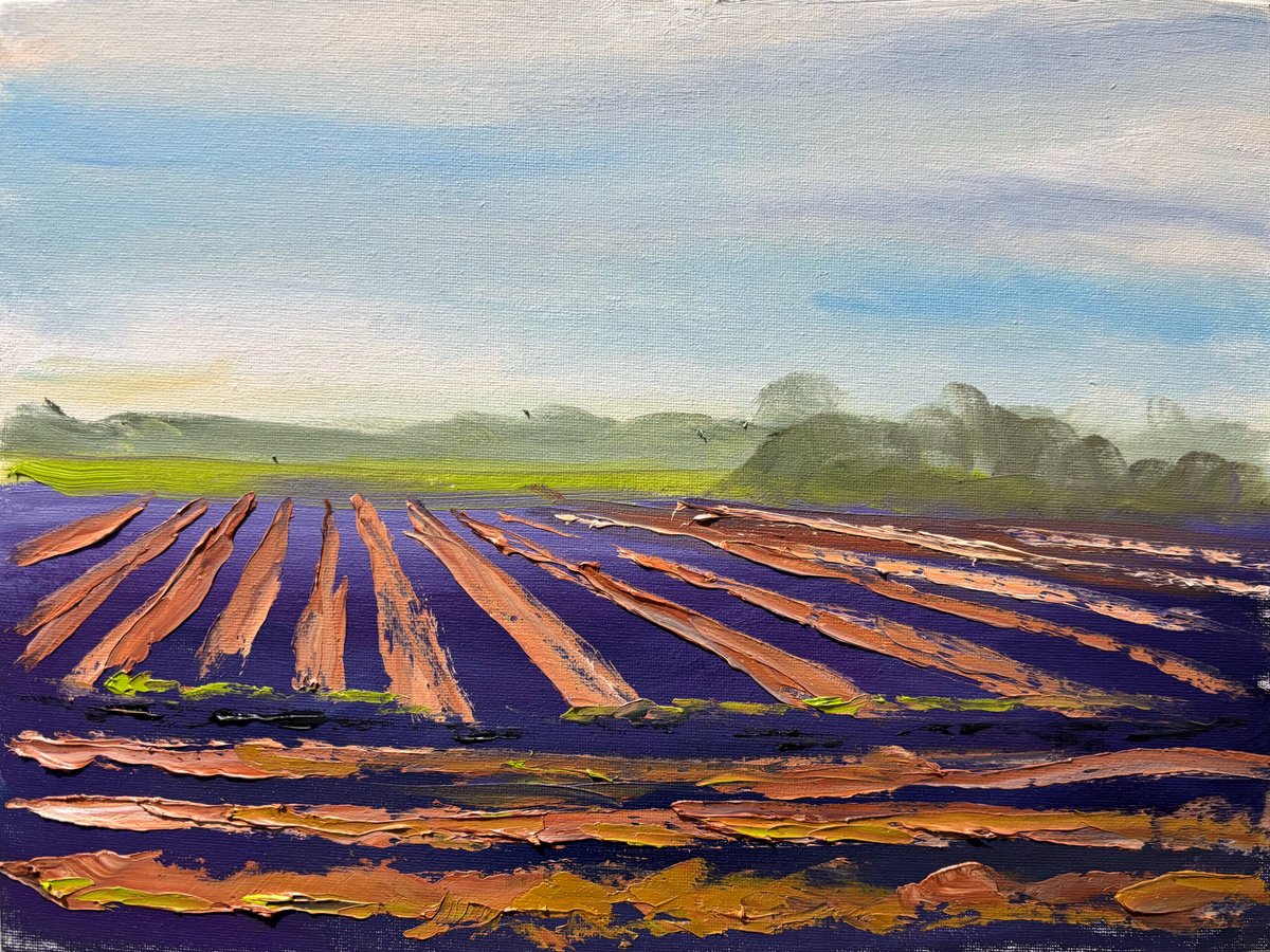 Field Of Onions Harvest By Dmitry Fedorov, 16 X 12, Artwork For Sale On Artfinder
