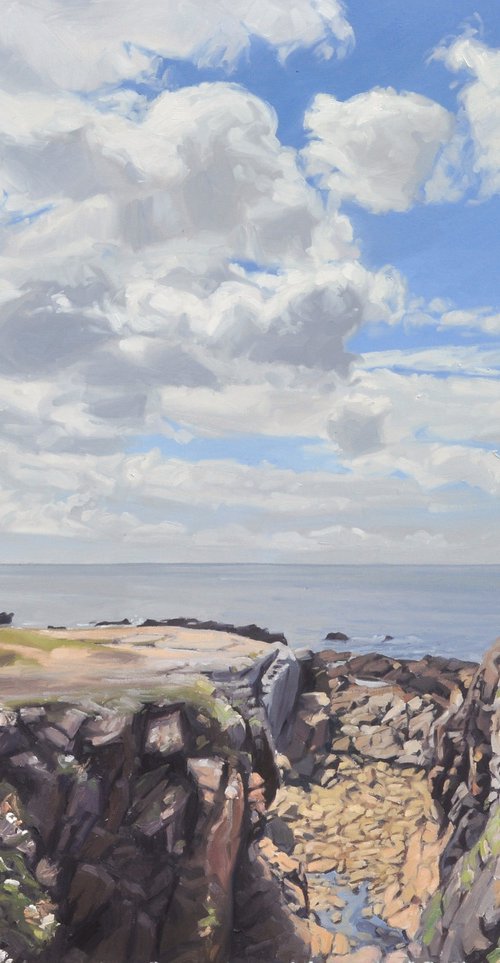 The wild coast at Le Croisic by ANNE BAUDEQUIN