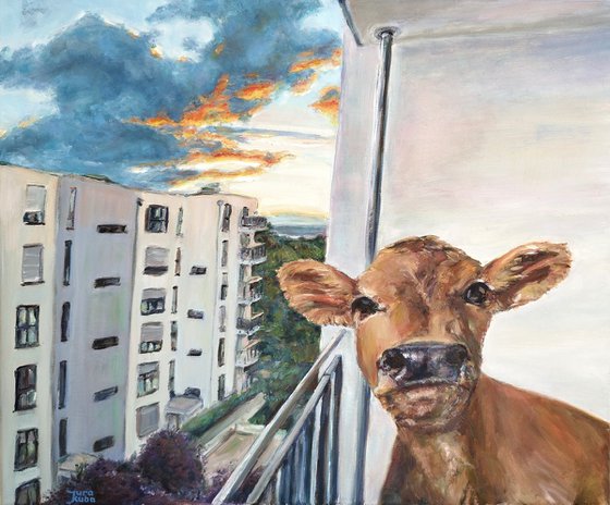 Cow On The Balcony in Mainz